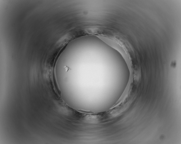 X0000102830332200808181054