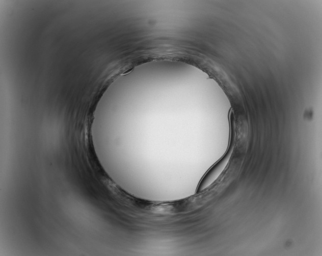 X0000102830333200808181054