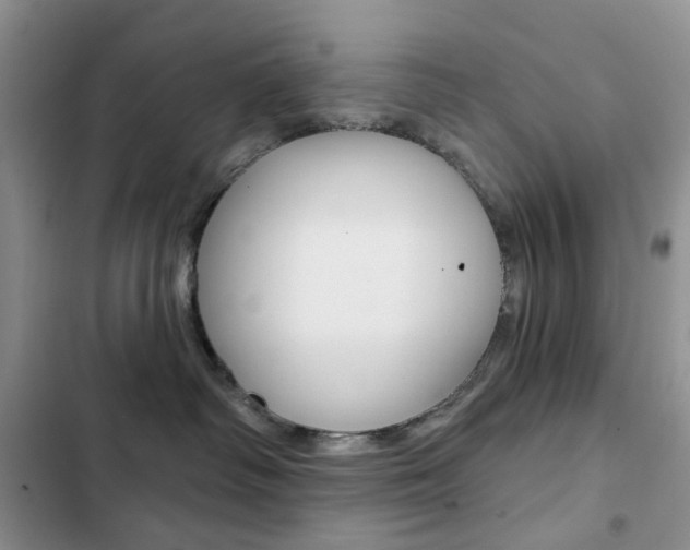 X0000102830334200808181054