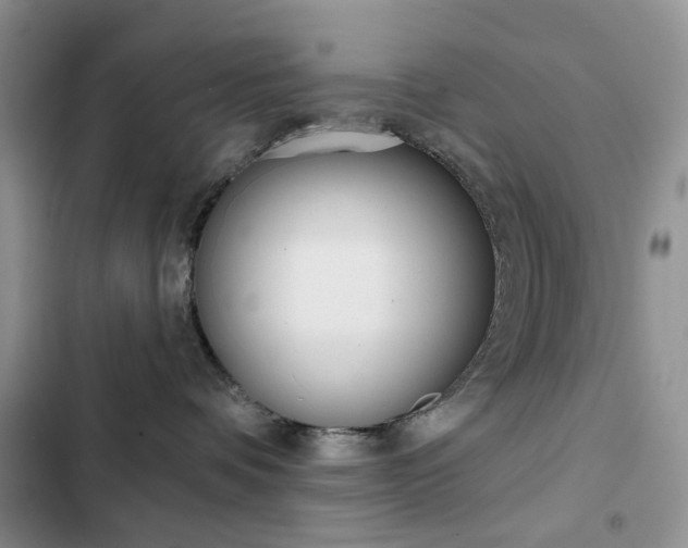 X0000102830336200808181054