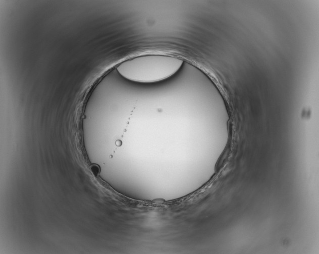 X0000102830337200808181053