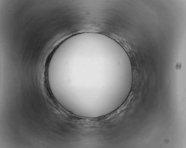 X0000102830338200808181053