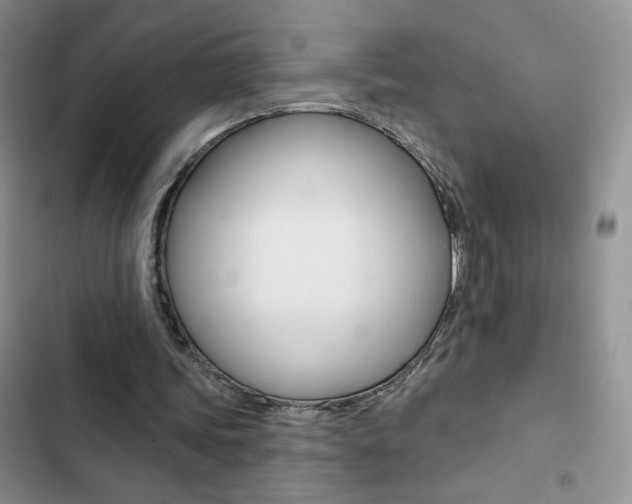 X0000102830339200808181054