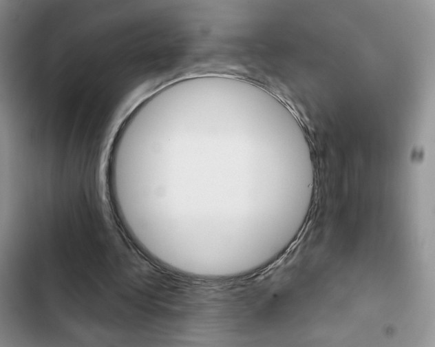 X0000102830340200808181054