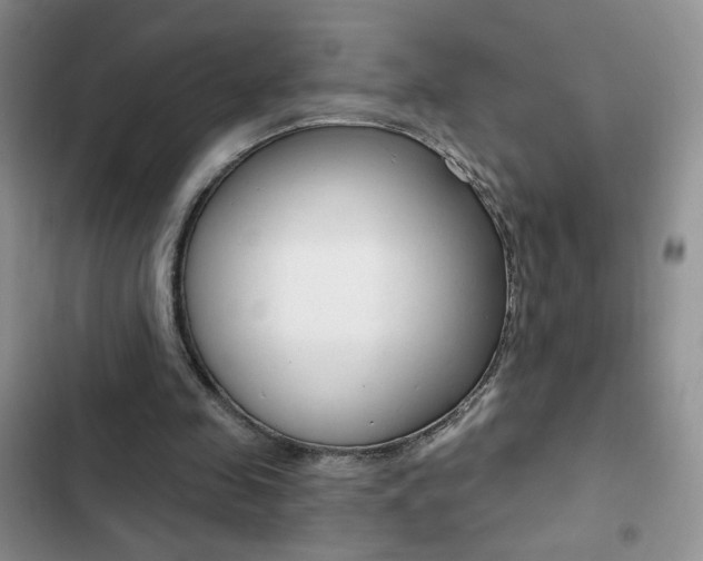 X0000102830341200808181054