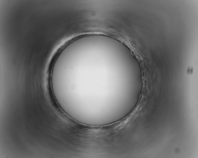 X0000102830342200808181054