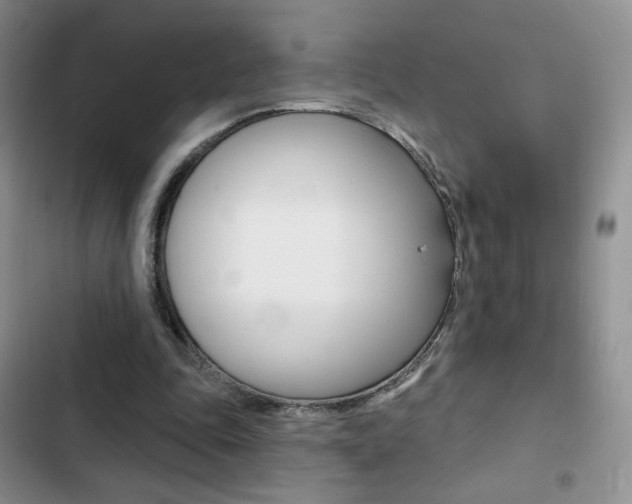 X0000102830343200808181054