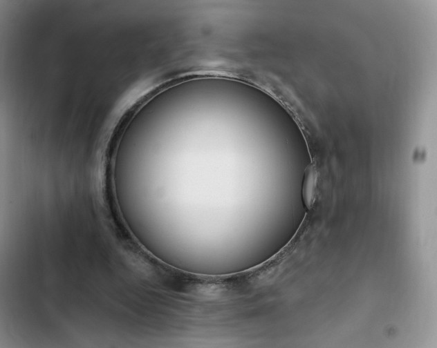 X0000102830344200808181054