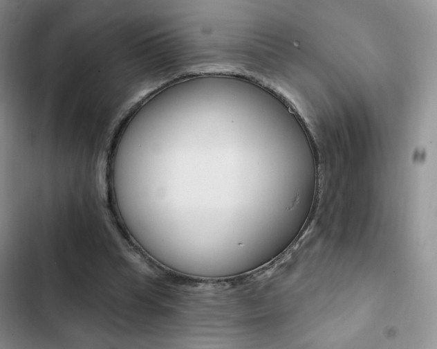 X0000102830345200808181054