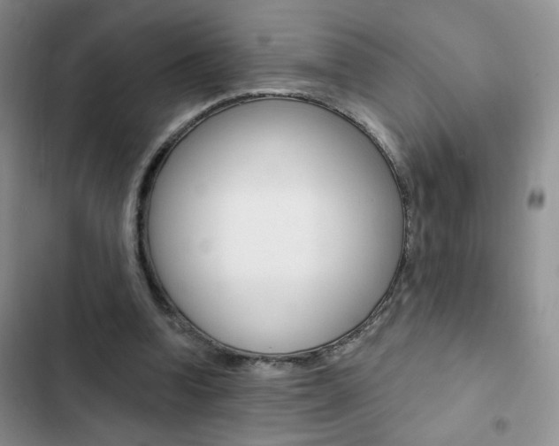 X0000102830346200808181054
