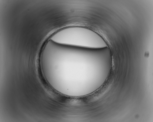 X0000102830348200808181054