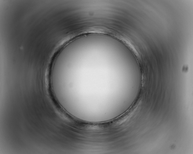 X0000102830349200808181054