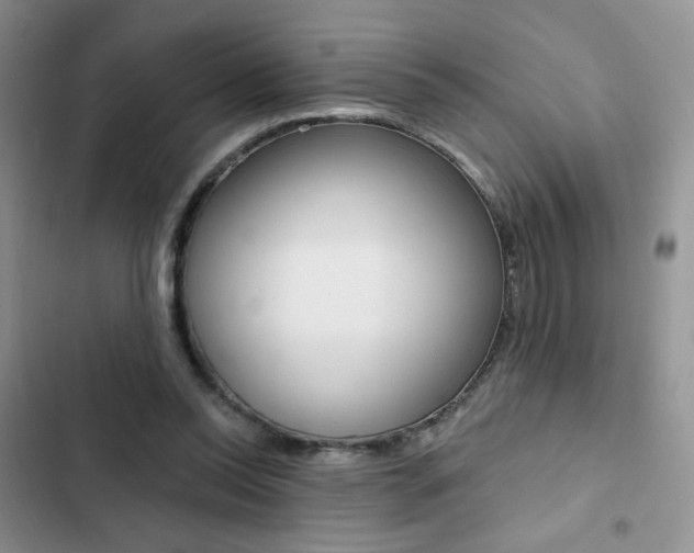 X0000102830350200808181054