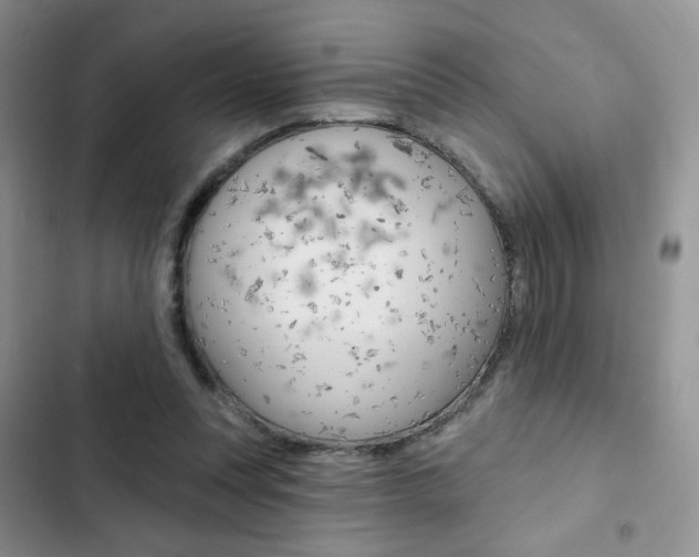 X0000102830351200808181054