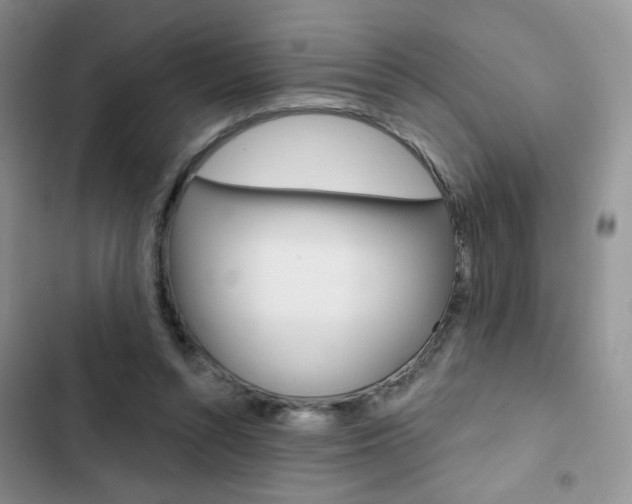 X0000102830352200808181054