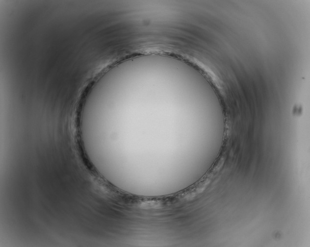 X0000102830353200808181054