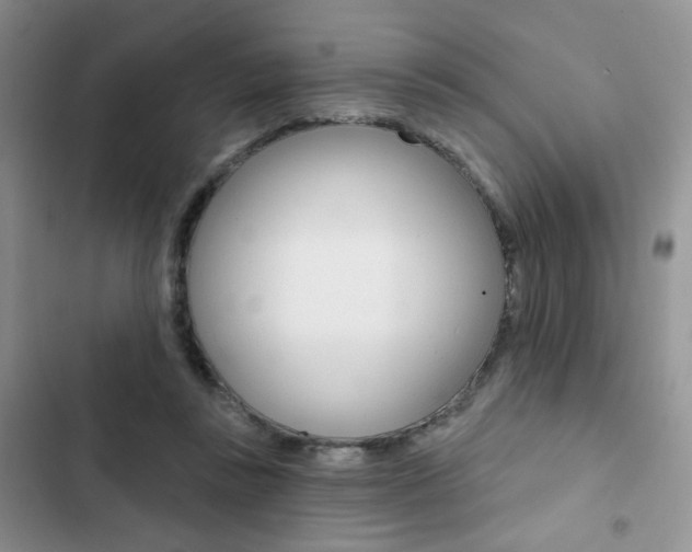 X0000102830355200808181054