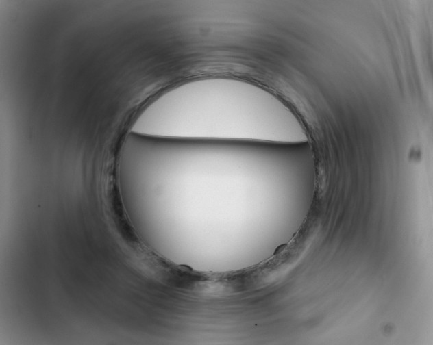 X0000102830356200808181054