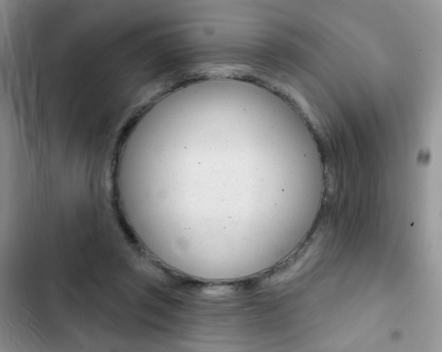 X0000102830357200808181054