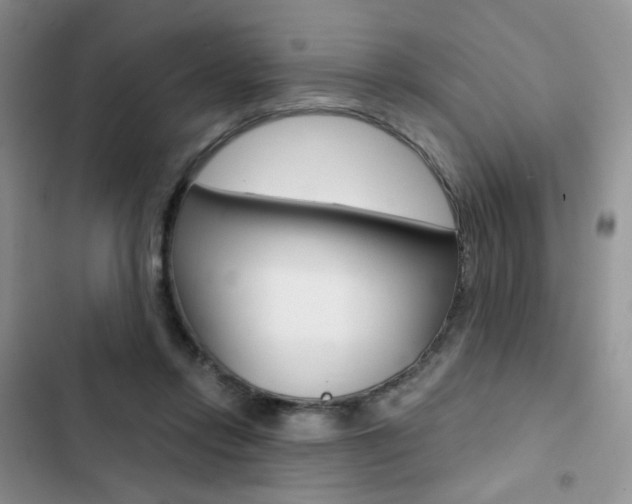 X0000102830358200808181054