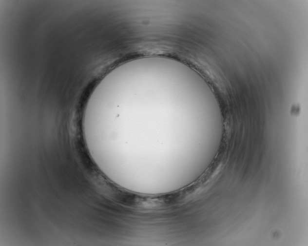X0000102830359200808181054