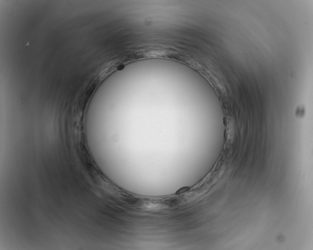 X0000102830360200808181054