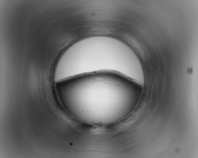 X0000102830362200808181054