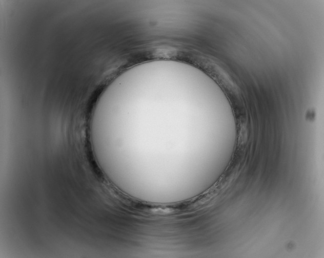 X0000102830363200808181054