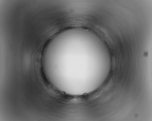 X0000102830364200808181054