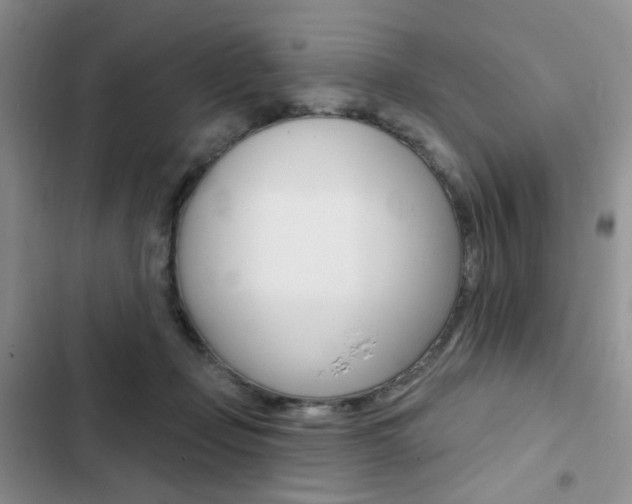 X0000102830365200808181054