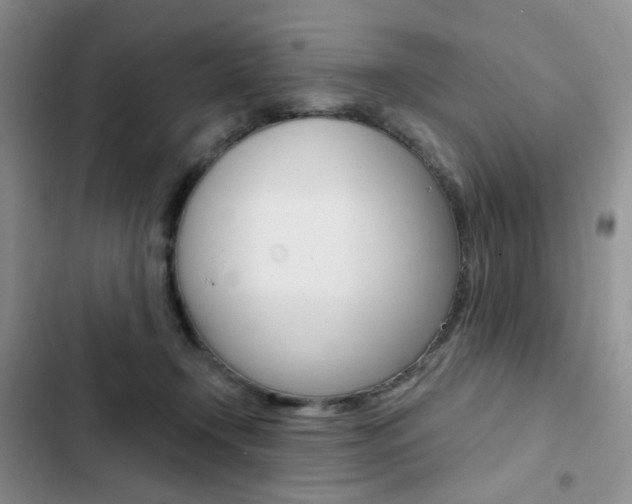 X0000102830366200808181054