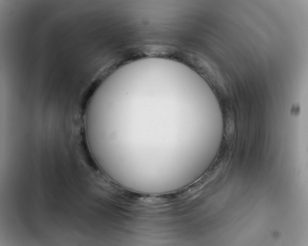 X0000102830367200808181054