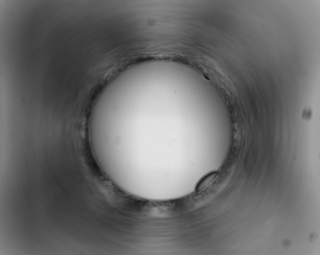 X0000102830368200808181054