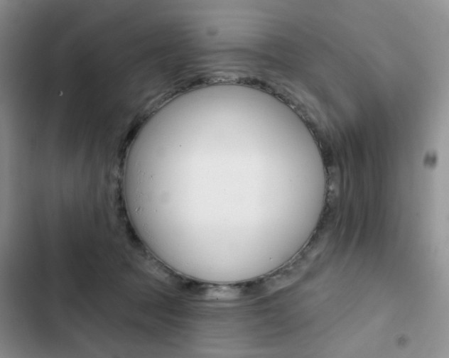 X0000102830369200808181054