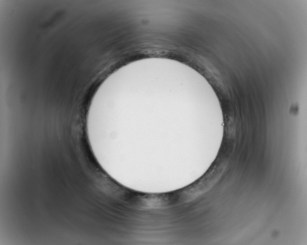 X0000102830370200808181054