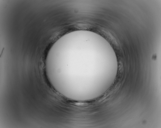 X0000102830371200808181054