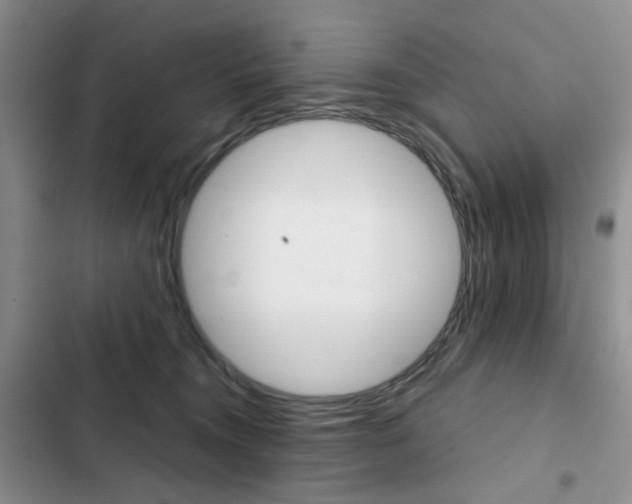 X0000102830372200808181054