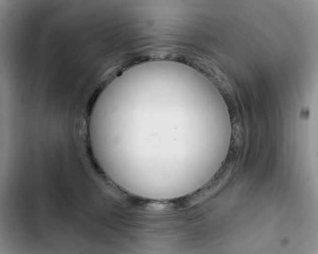 X0000102830375200808181054