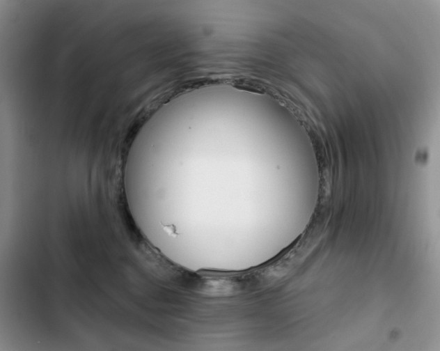 X0000102830376200808181054