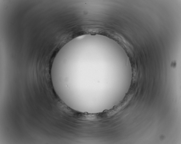 X0000102830377200808181054