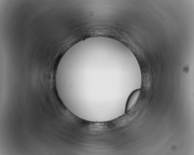 X0000102830378200808181054