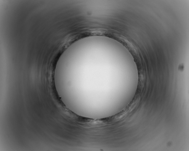 X0000102830379200808181054