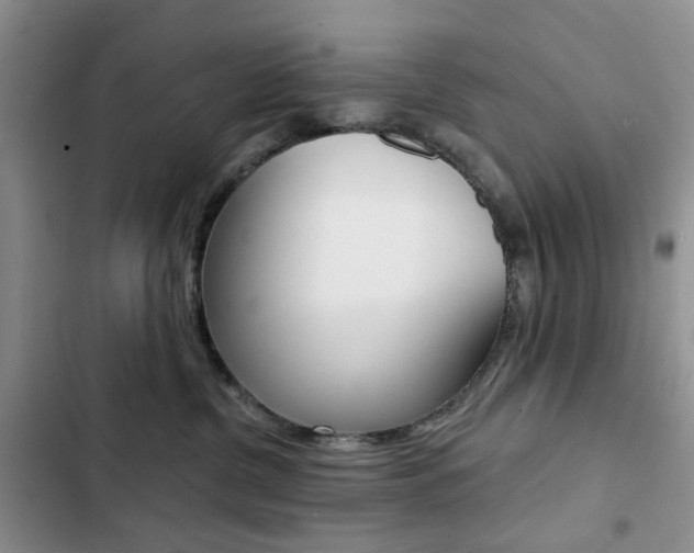 X0000102830380200808181054