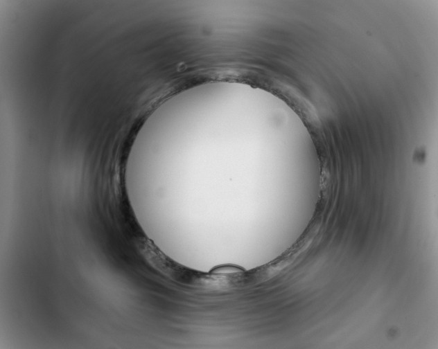 X0000102830381200808181054