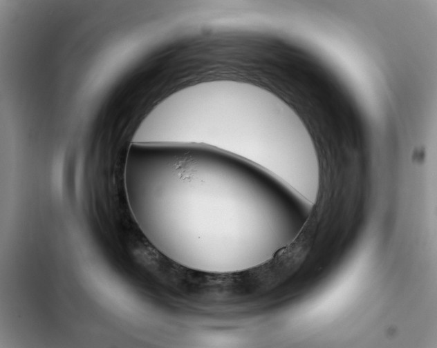 X0000102830382200808181054