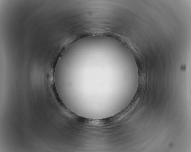 X0000102830383200808181054