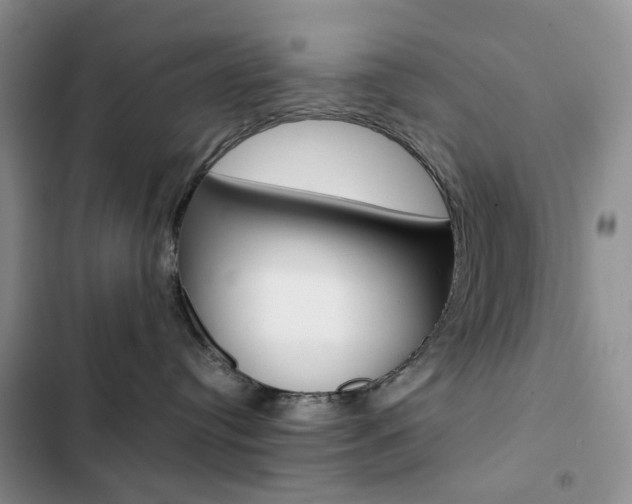 X0000102830384200808181054
