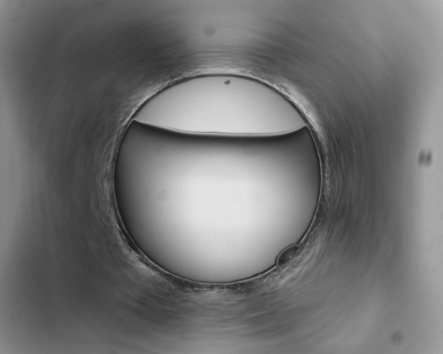 X0000102830385200808181053