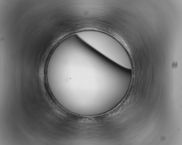X0000102830386200808181053