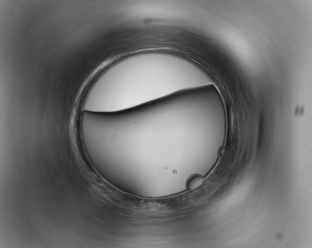 X0000102830387200808181053
